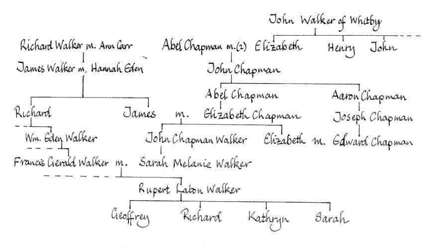 Walker - Chapman connections